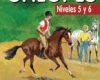 Curso-de-equitacion-GALOPE-(Niveles-5-y-6)