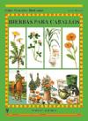 Hierbas-para-caballos--Guias-ecuestres-ilust---i0n174298
