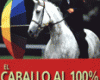 caballo_100per100